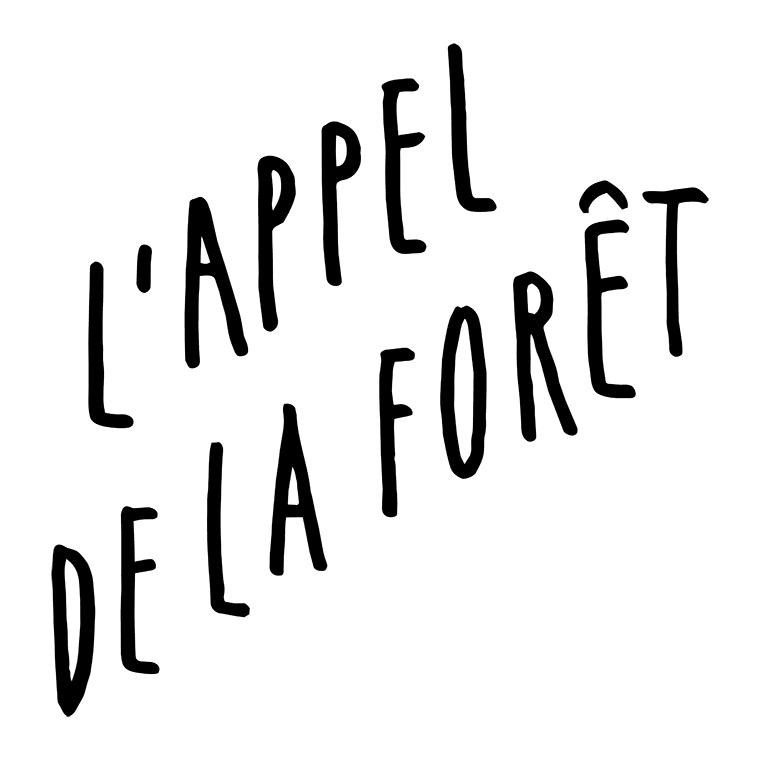 L'appel de la forêt 